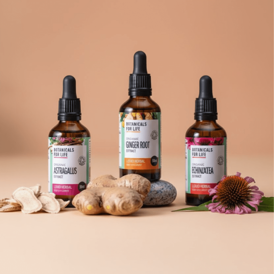 BIO bylinná sada Botanicals For Life se třemi glycerity z echinacey, astragalu a zázvoru